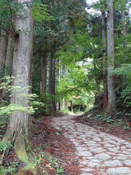 Drumul Samurailor - intre Magome si Tsumago - 8 km